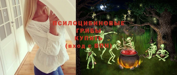 мет Осинники