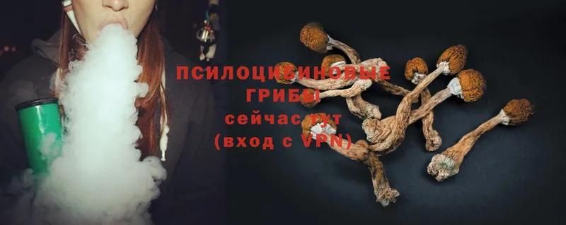 продажа наркотиков  Оса  Псилоцибиновые грибы Psilocybe 