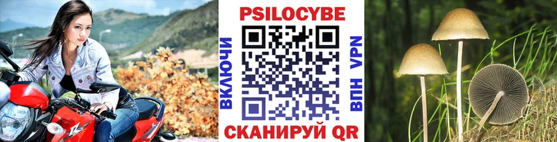 Псилоцибиновые грибы прущие грибы  Оса 