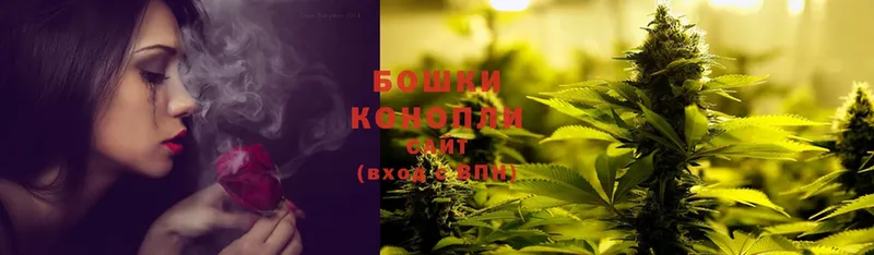 Шишки марихуана THC 21%  Оса 